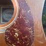 Vintage 1980's Hondo Dreadnought Acoustic Image 6