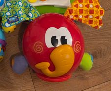 Toy