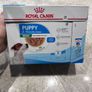 Dog food Image 3
