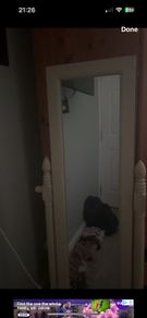 mirror
