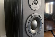 Hivi swan speakers with stands