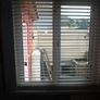 Venetian blinds x2 Image 2