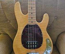 Bass