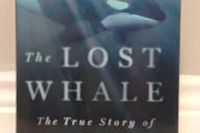 The Lost Whale: The True Story of an Orca Named Luna
