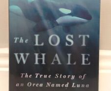 The Lost Whale: The True Story of an Orca Named Luna