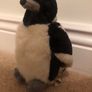 Bird teddy Image 2