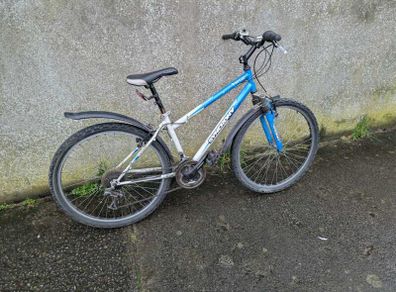 Ladies Syncrony Vector Bicycle Great Condition