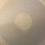 Gloria Estefan Mi Tierra 12inch Vinyl 1993 Tommy Musto and Pablo Flores Mixes Image 3