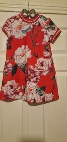 girl dress