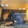 reptile vivarium Image 6