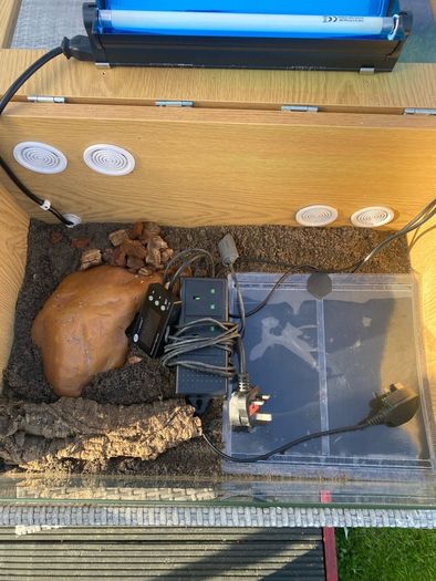 reptile vivarium
