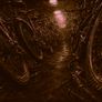 !!! Used Bikes !!! Image 4