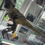 Mattel Jurassic World Jurassic Park Hammond Collection Tyrannosaurus Rex Dinosaur Figure, 24in Long with 14 Movable Joints, Movie Collectible Image 3