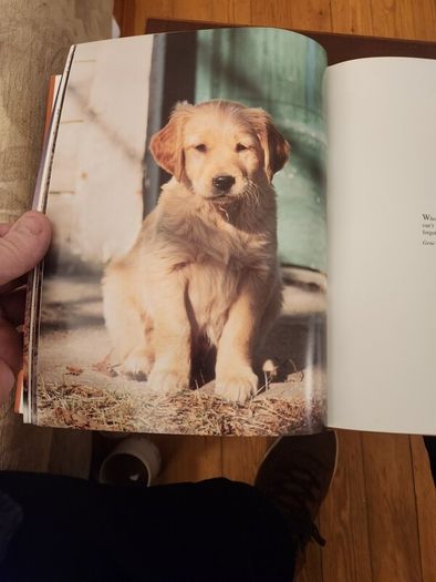 Just Dogs. A Literary & Photographic Tribute To The Great Hunting Breeds. First Edition Large Volume Hardback With Dustjacket In Very Good Condition. 36.