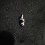 stud earrings Image 3