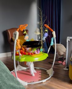 Fisher price Baby bouncer