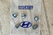 Hyundai lock nuts