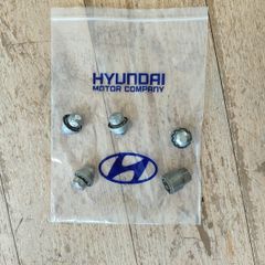 Hyundai lock nuts