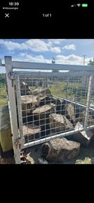 hardwood logs