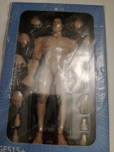 Action figure blank superhero body