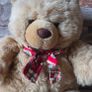 25cm Teddy Bear METRO Image 2