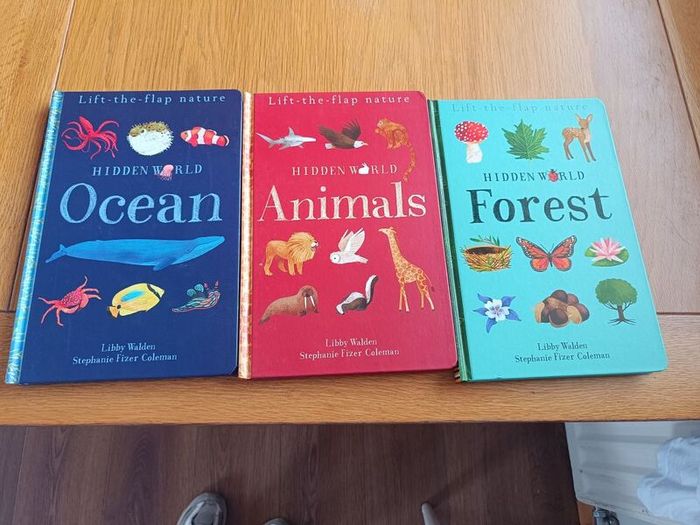 Lift the Flap Nature Hidden World Book Collection
