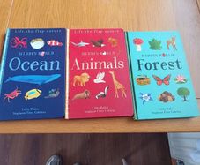 Lift the Flap Nature Hidden World Book Collection