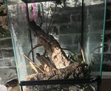 Reptile enclosure