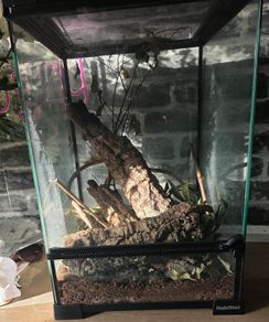 Reptile enclosure