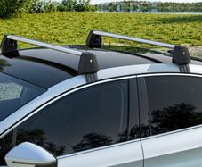 roof bars