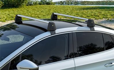 roof bars