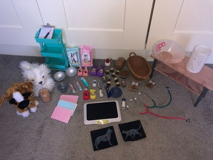 Generation doll vet set with 2 dolls and loads of accessories