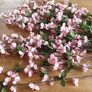 Beautiful 14 X 86cm Large Long Wired Cherry Blossom Artificial Flowers (Bendable) Image 3