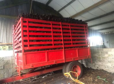 Content of trailer . Sold in bags