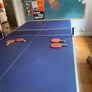 Table tennis table- fold-up 154x276cm, net, bats Image 2