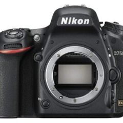 Nikon D750 shutter count 6737