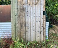 Shed door
