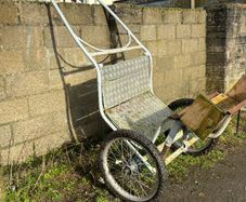horse driving cart