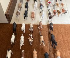 Schleich horse bundle