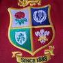 British and Irish Lions Jersey.  Official Canterbury Home Jersey Youths Age 14 Years. Collect In Dublin Or Receive Via Post. Image 4