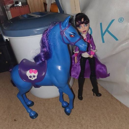 Monster high dolls plays etc and accessories