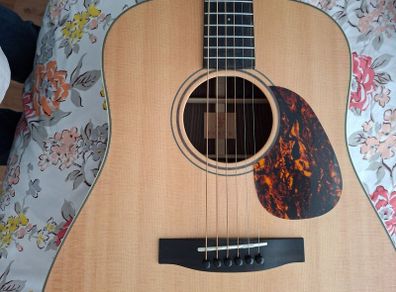 Furch Vintage 1d- Sr Guitar