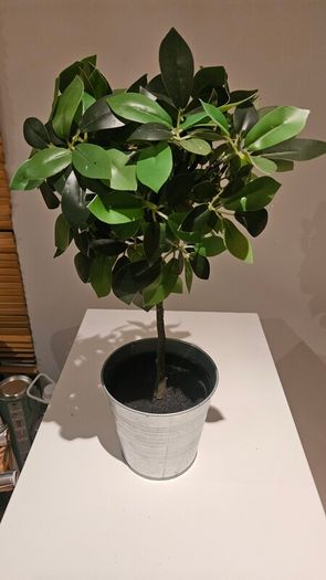 Artificial plants