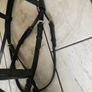 horse bridle Image 5