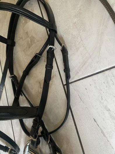 horse bridle