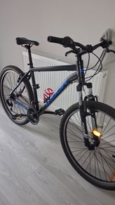 Adult bike