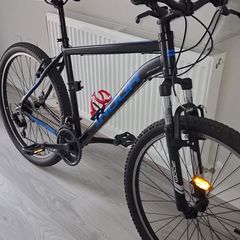 Adult bike