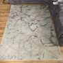 rug Image 2