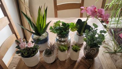 Artificial Plants in Ceramic, Glass, Stone & PVC Pots x8