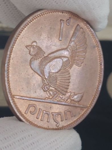 1966 specimen coin set